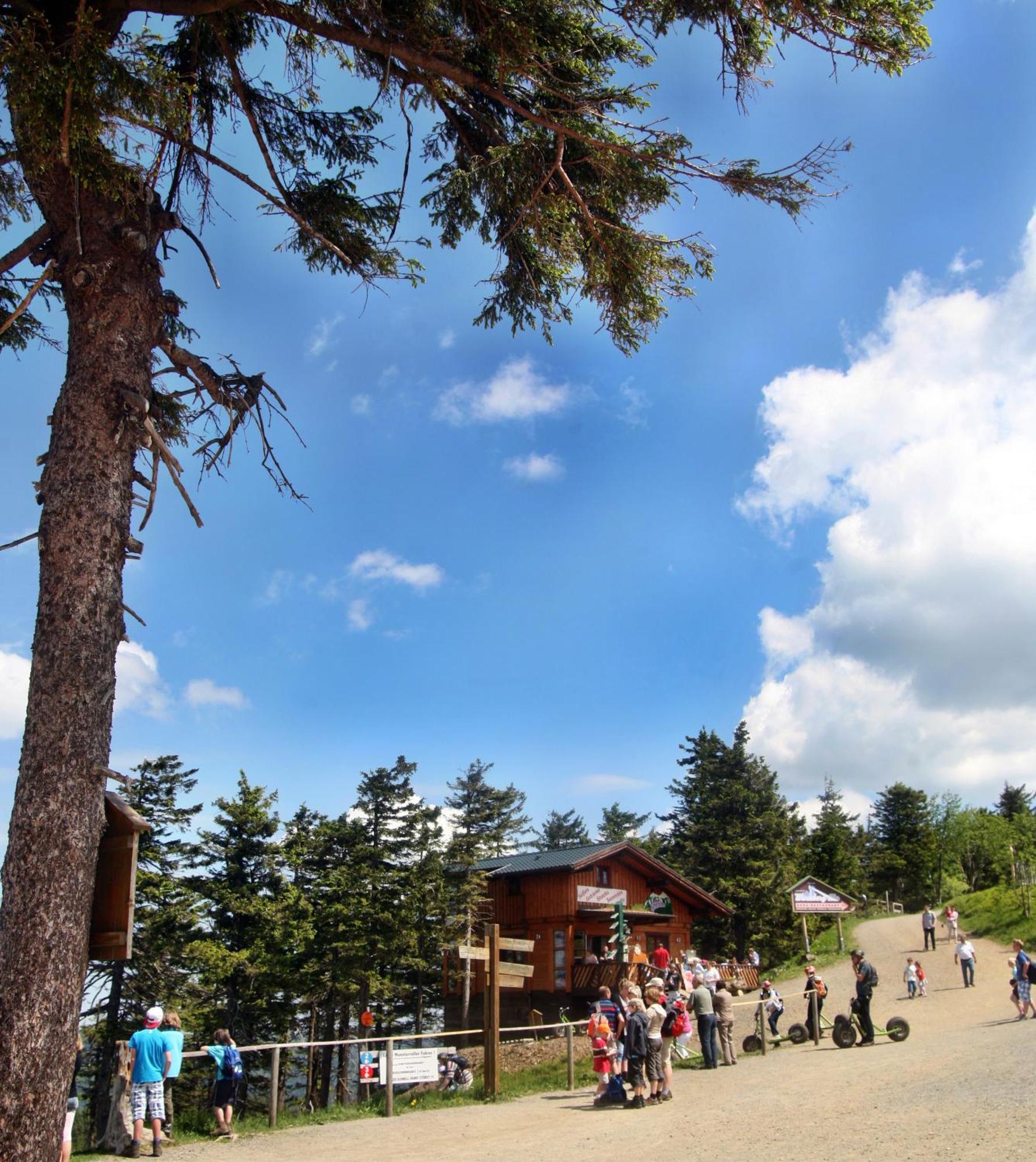 Relexa Hotel Harz-Wald Braunlage Gmbh Экстерьер фото
